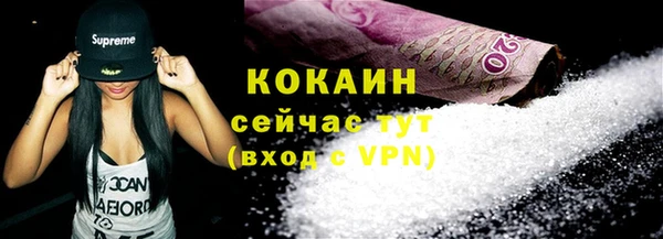 твердый Арсеньев