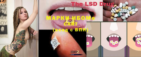 твердый Арсеньев
